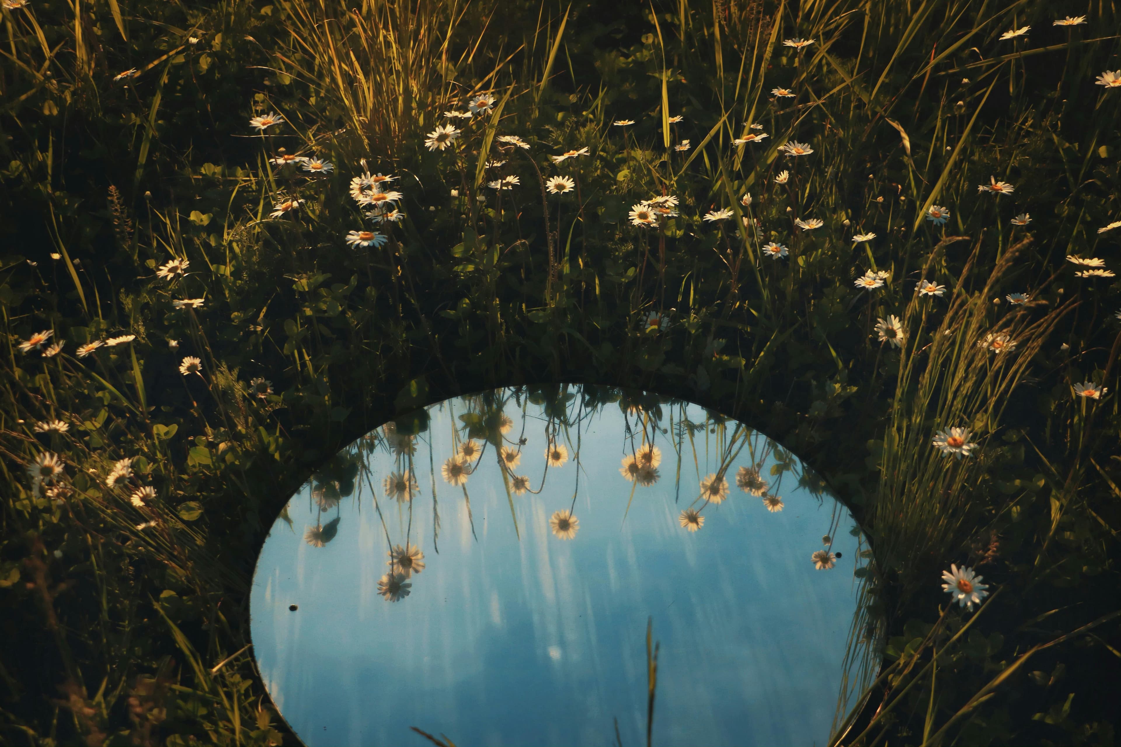 Mirror background